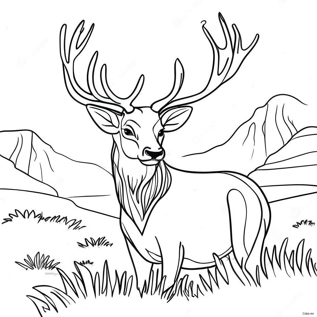 Majestic Stag Coloring Page 51885 43193