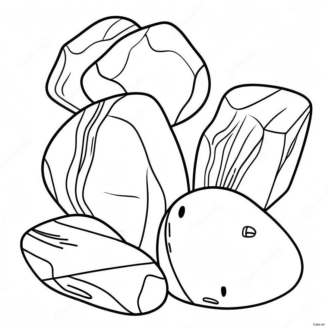 Types Of Rocks Coloring Page 22683 20892