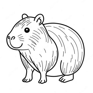 Capybara Coloring Page 10016-8235