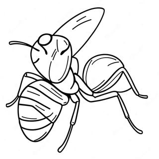 Ant Coloring Page 10096-8299