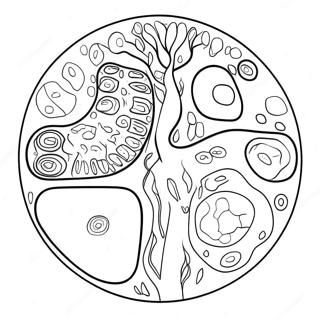 Plant Cell Diagram Coloring Page 10817-8866