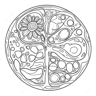 Colorful Plant Cell Structure Coloring Page 10818-8871