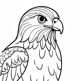 Hawk Coloring Page 10887-8923