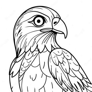 Hawk Coloring Page 10887-8924