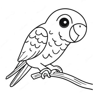 Parakeet Coloring Page 10937-8962