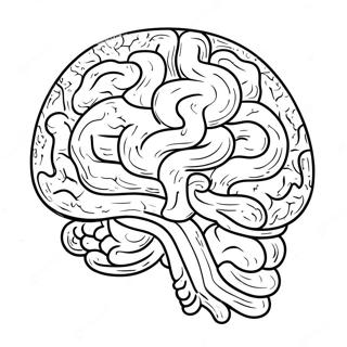 Brain Sheet Coloring Page 11717-9594