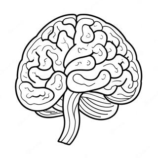 Brain Sheet Coloring Page 11717-9596