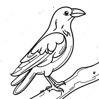 Crow Coloring Pages