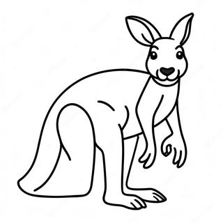 Kangaroo Coloring Page 12817-10660