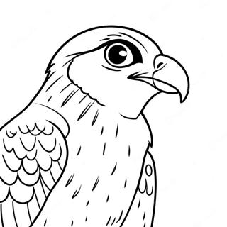 Peregrine Falcon Coloring Page 13778-11414