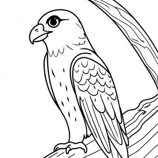 Peregrine Falcon Coloring Page 13778-11415