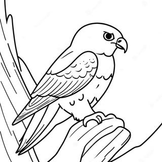 Peregrine Falcon Coloring Page 13778-11416