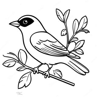 Orioles Coloring Page 13838-11464