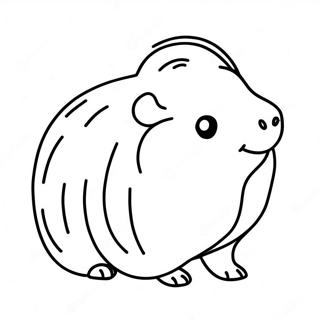 Guinea Pig Coloring Page 1421-1135