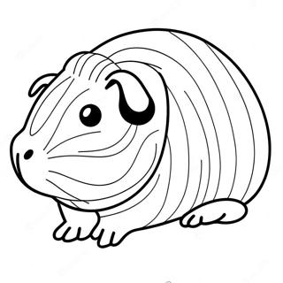 Guinea Pig Coloring Page 1421-1136