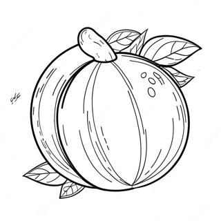 Orange Coloring Page 14459-11959