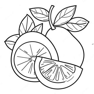 Bright Orange Fruit Coloring Page 14460-11961