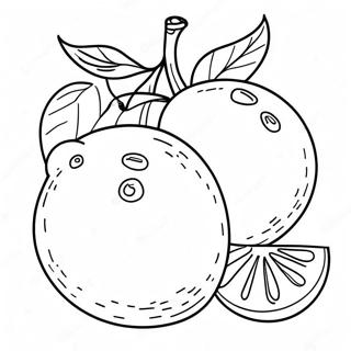 Bright Orange Fruit Coloring Page 14460-11962