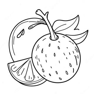 Bright Orange Fruit Coloring Page 14460-11963