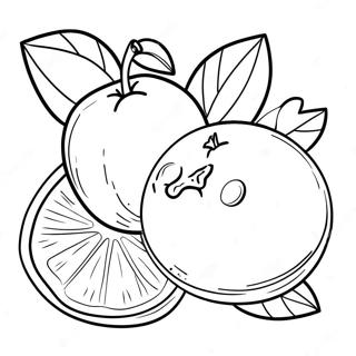 Bright Orange Fruit Coloring Page 14460-11964