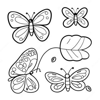 Butterfly Life Cycle Coloring Page 14819-12247