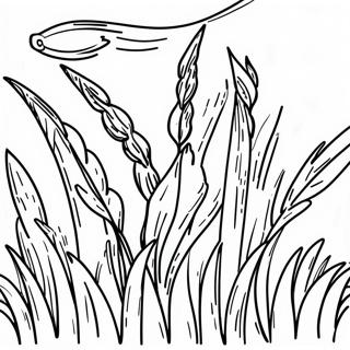 Grass Coloring Pages