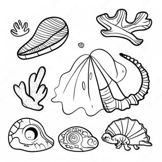 Fossil Coloring Page 15059-12456