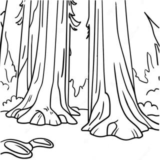 California Redwood Forest Coloring Page 15190-12563