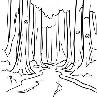 California Redwood Forest Coloring Page 15190-12564