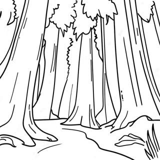 California Redwood Forest Coloring Page 15190-12729