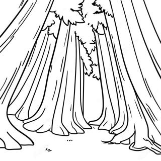 California Redwood Forest Coloring Page 15190-12731