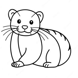 Ferret Coloring Page 15389-13030