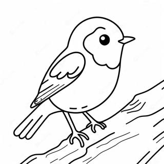 Robin Coloring Page 16311-13759