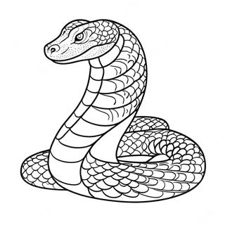 Anaconda Coloring Page 16331-13774