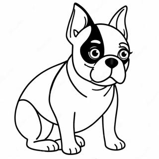 Boston Terrier Coloring Page 16422-13839