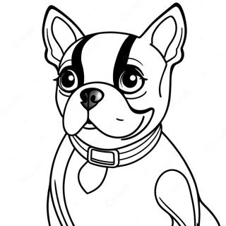 Boston Terrier Coloring Page 16422-13840