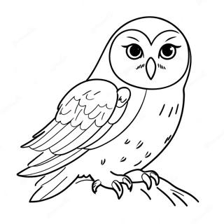 Hedwig Coloring Page 16512-13910