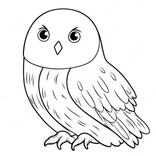 Hedwig Coloring Page 16512-13911