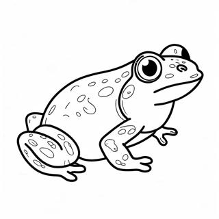 Amphibian Coloring Page 16612-13991