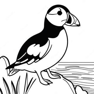 Puffin Rock Coloring Page 16652-14023