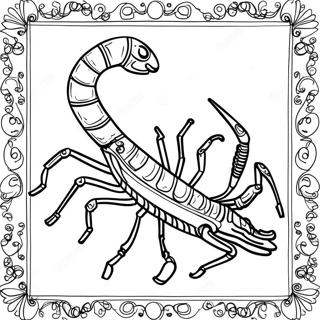 Scorpion Coloring Page 16662-14030