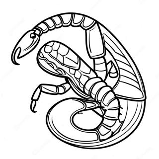 Scorpion Coloring Page 16662-14032