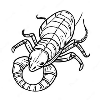 Realistic Scorpion Coloring Page 16663-14034