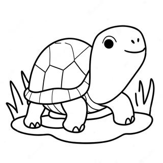 Cute Baby Turtle Coloring Page 16793-14137