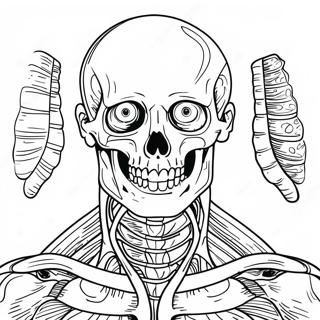 Anatomy And Physiology Coloring Page 17173-14438