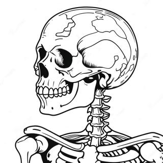 Detailed Human Skeleton Coloring Page 17174-14441