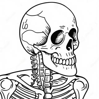 Detailed Human Skeleton Coloring Page 17174-14442