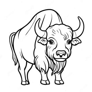 Buffalo Coloring Pages