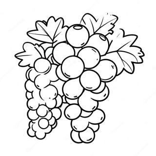 Grape Coloring Pages