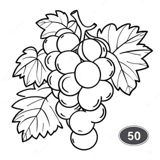 Grape Coloring Page 17324-14551